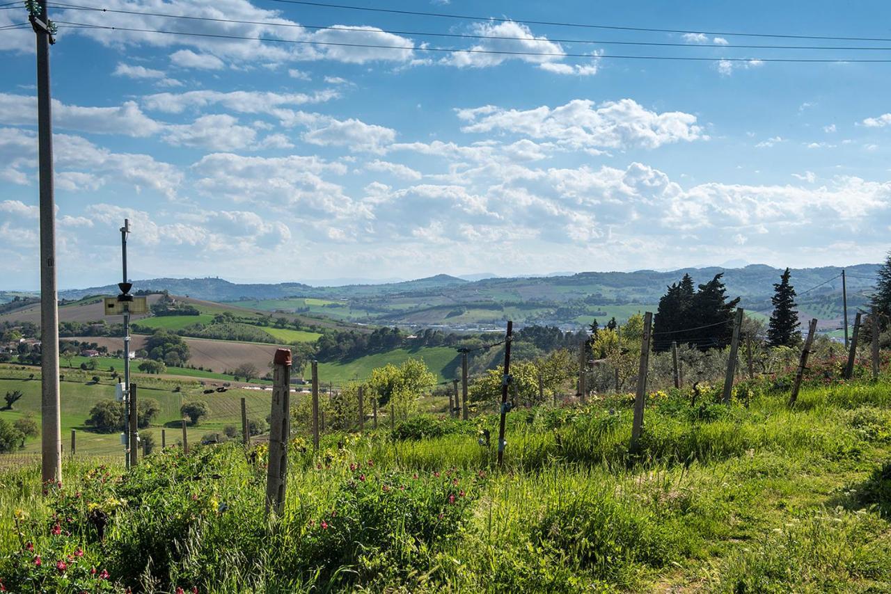 A11 - Varano, Delizioso Trilocale Con Giardino Анкона Екстериор снимка